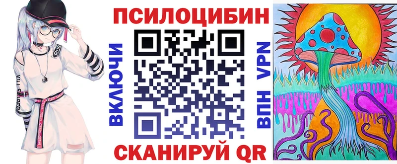 где купить наркоту  Ставрополь  Псилоцибиновые грибы Psilocybine cubensis 